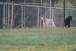 resIMG_20110416_5378.JPG